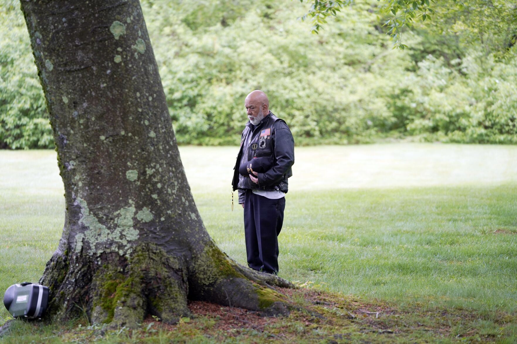 bradley tree